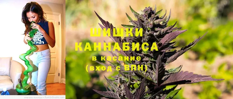 наркотики  Старая Русса  маркетплейс официальный сайт  Марихуана Ganja 